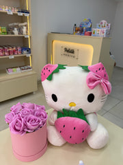 Hello Kitty Set Pofidik Hediye