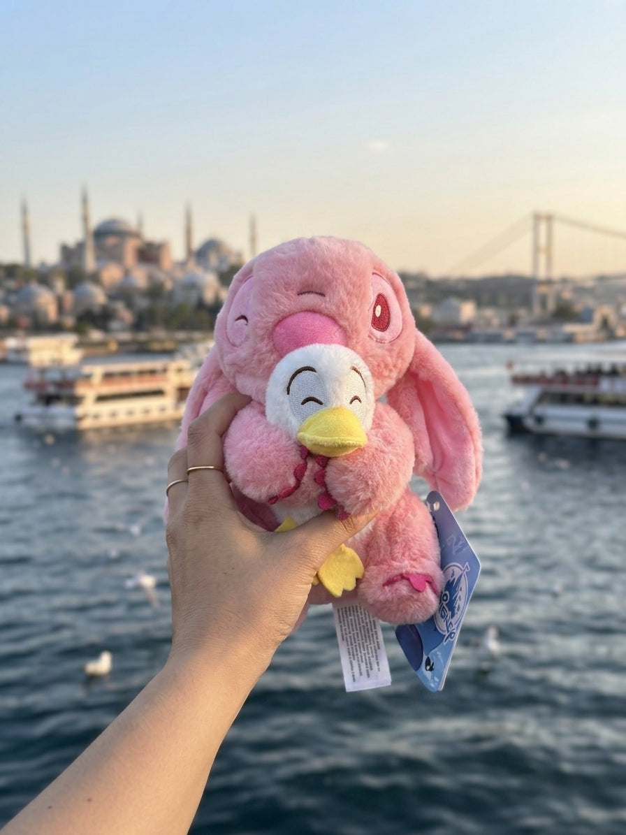 Yavrulu Stitch Pofidik Hediye